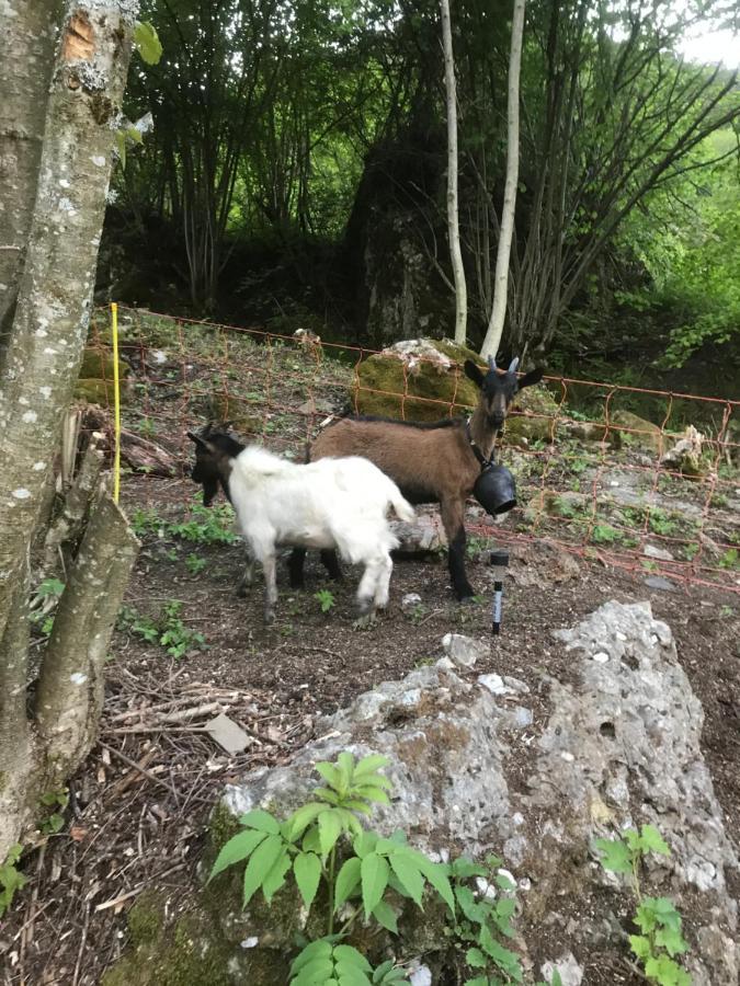 Le Blanc Nordique * Le Bouchet-Mont Charvin