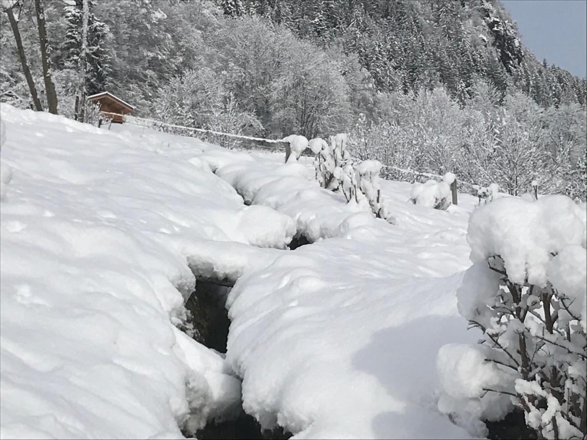 Le Blanc Nordique