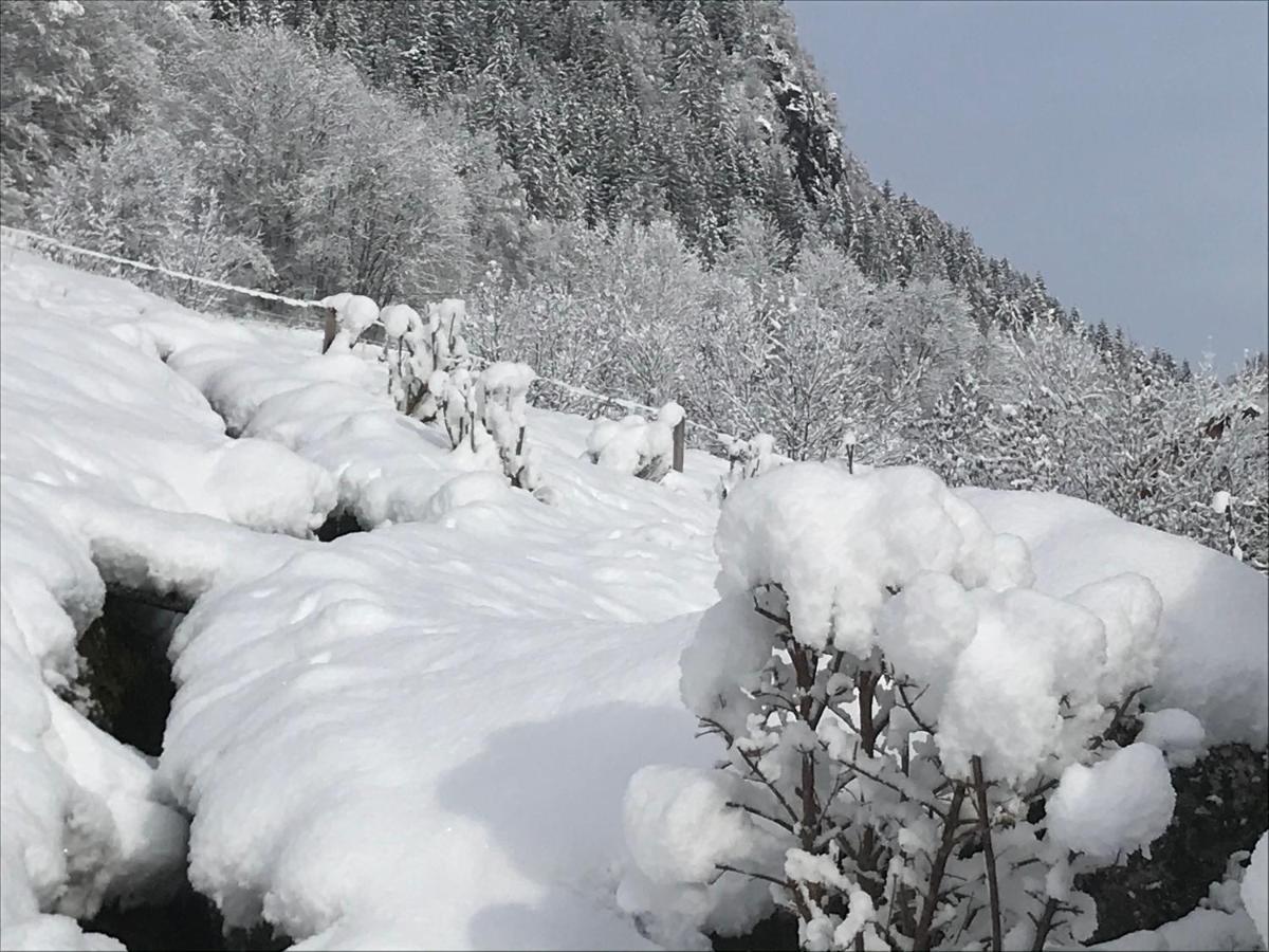 Chalet Le Blanc Nordique Le Bouchet-Mont Charvin