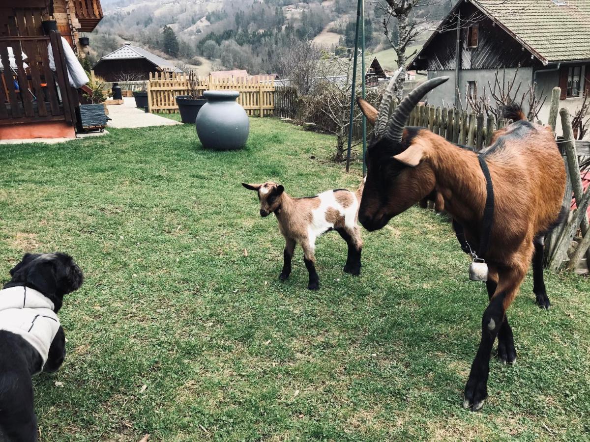 Chalet Le Blanc Nordique