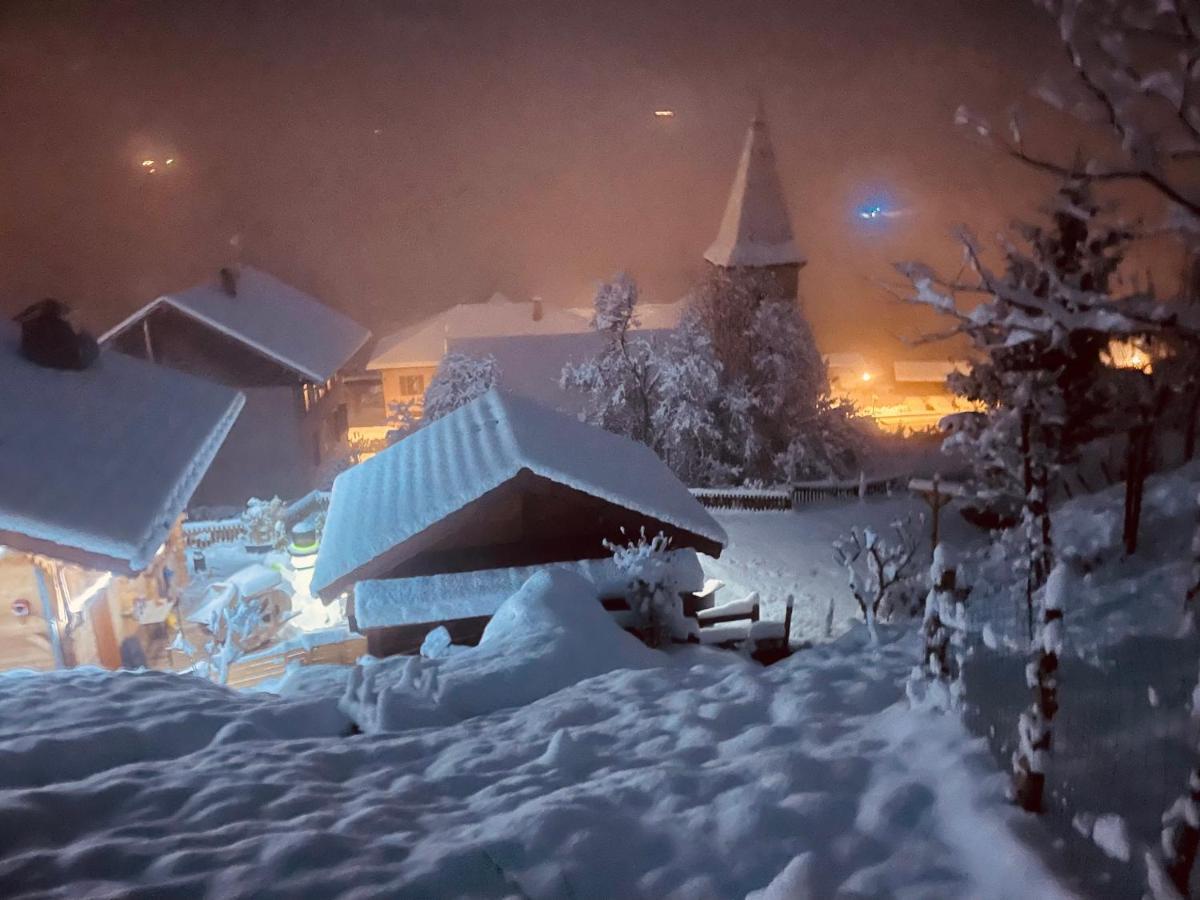 Le Blanc Nordique Chalet Le Bouchet-Mont Charvin